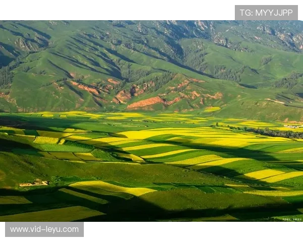多路径信号聚合技术在本季度成熟 确保了复杂地形赛事的交互稳定性